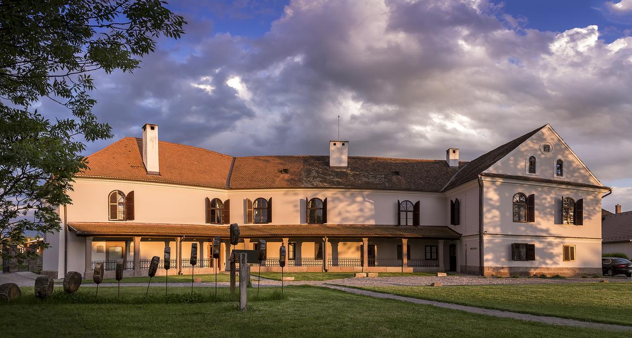 Castle Hotel Daniel Baraolt Buitenkant foto
